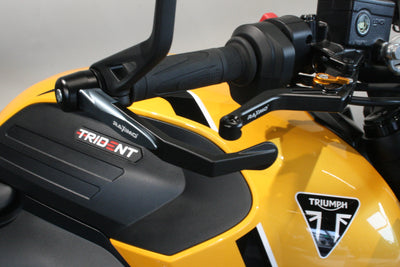 TRIUMPH TRIDENT 660 LLC EINZELSTÜCK