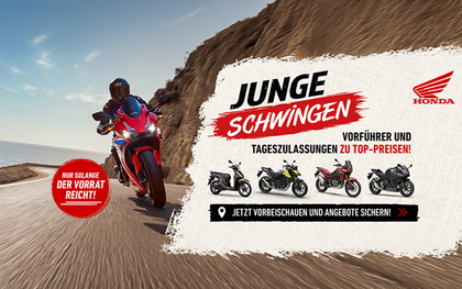 Honda „Junge Schwingen“