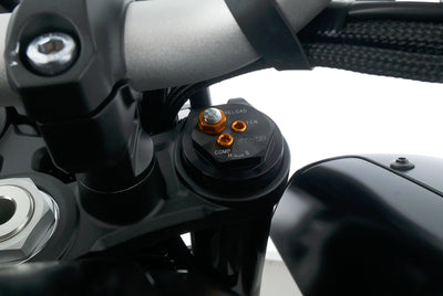 YAMAHA MT 10