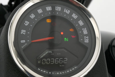 HARLEY DAVIDSON SOFTAIL LOW RIDER S