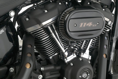 HARLEY DAVIDSON SOFTAIL LOW RIDER S