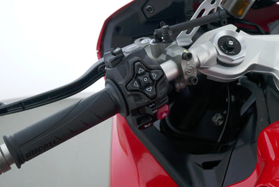 DUCATI PANIGALE V2 D35
