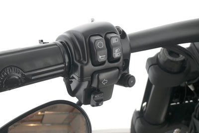 HARLEY DAVIDSON SOFTAIL FAT BOB 114