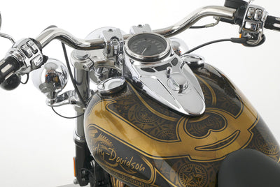 HARLEY DAVIDSON SOFTAIL BREAKOUT