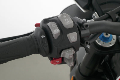 TRIUMPH SPEED TRIPLE 1050 RS