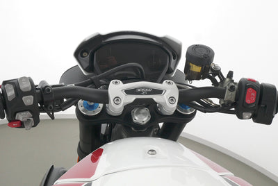 TRIUMPH SPEED TRIPLE 1050 RS