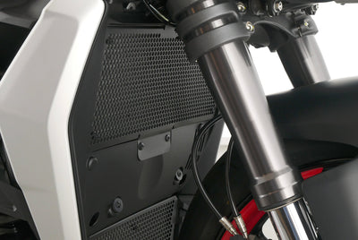 DUCATI STREETFIGHTER V2