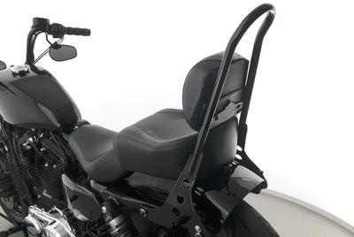 HARLEY DAVIDSON SPORTSTER XL 1200 FORTY