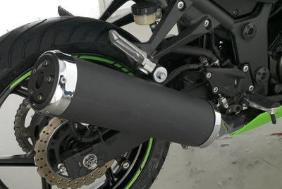 KAWASAKI NINJA 250 R