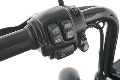 HARLEY DAVIDSON SPORTSTER XL 1200 48 FORTY