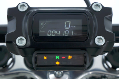 HARLEY DAVIDSON SOFTAIL STANDARD