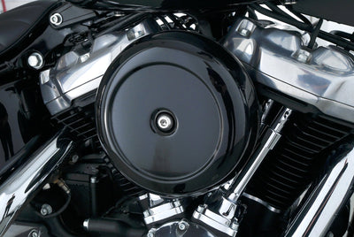 HARLEY DAVIDSON SOFTAIL STANDARD