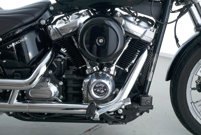 HARLEY DAVIDSON SOFTAIL STANDARD