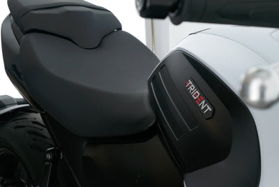 TRIUMPH TRIDENT 660
