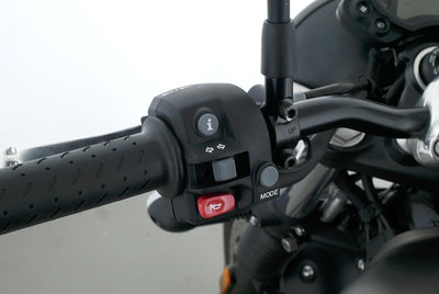 TRIUMPH SPEED TWIN 900