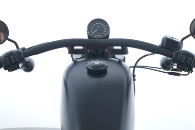 HARLEY DAVIDSON SPORTSTER XL 883 N IRON