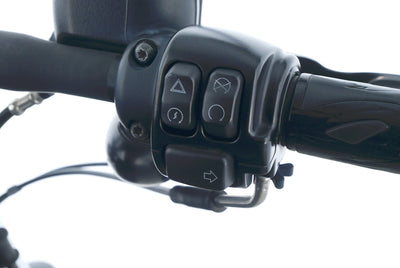 HARLEY DAVIDSON SPORTSTER XL 883 N IRON