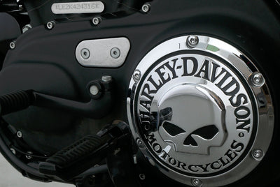 HARLEY DAVIDSON SPORTSTER XL 883 N IRON
