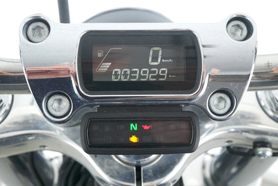 HARLEY DAVIDSON SOFTAIL STANDARD