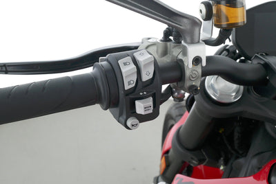 DUCATI MONSTER
