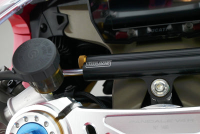 DUCATI PANIGALE V4 R