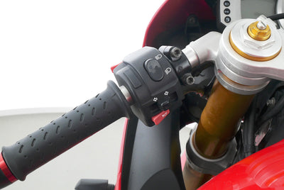 TRIUMPH DAYTONA 675