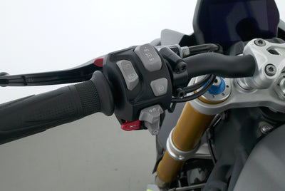 TRIUMPH SPEED TRIPLE 1200 RS