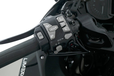 KAWASAKI NINJA H2 SX