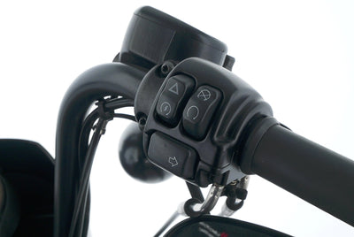 HARLEY DAVIDSON SPORTSTER XL 1200 IRON