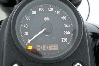 HARLEY DAVIDSON DYNA LOW RIDER S