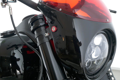 HARLEY DAVIDSON DYNA LOW RIDER S
