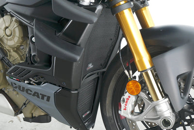 DUCATI STREETFIGHTER V4S