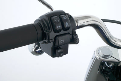 HARLEY DAVIDSON SOFTAIL FAT BOY 114