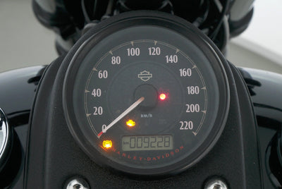 HARLEY DAVIDSON DYNA LOW RIDER S