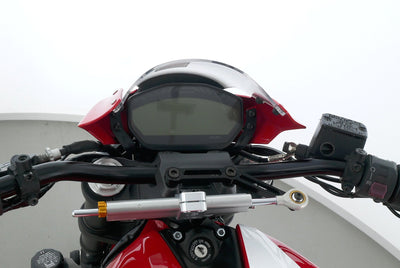 DUCATI MONSTER 821 STRIPES