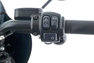 HARLEY DAVIDSON LOW RIDER S