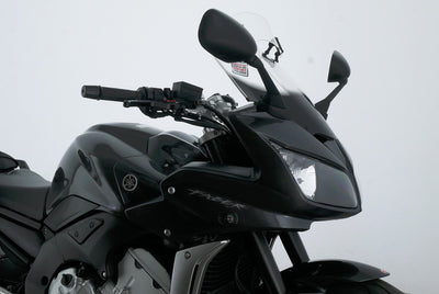 YAMAHA FZ 1 FAZER