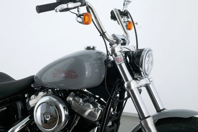 HARLEY DAVIDSON SOFTAIL STANDARD