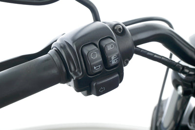 HARLEY DAVIDSON SPORTSTER XL 883 N IRON