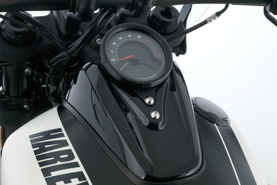 HARLEY DAVIDSON SOFTAIL FAT BOB 114