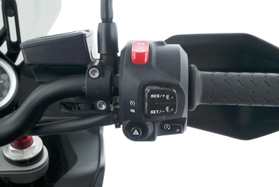 TRIUMPH TIGER 1050 SPORT